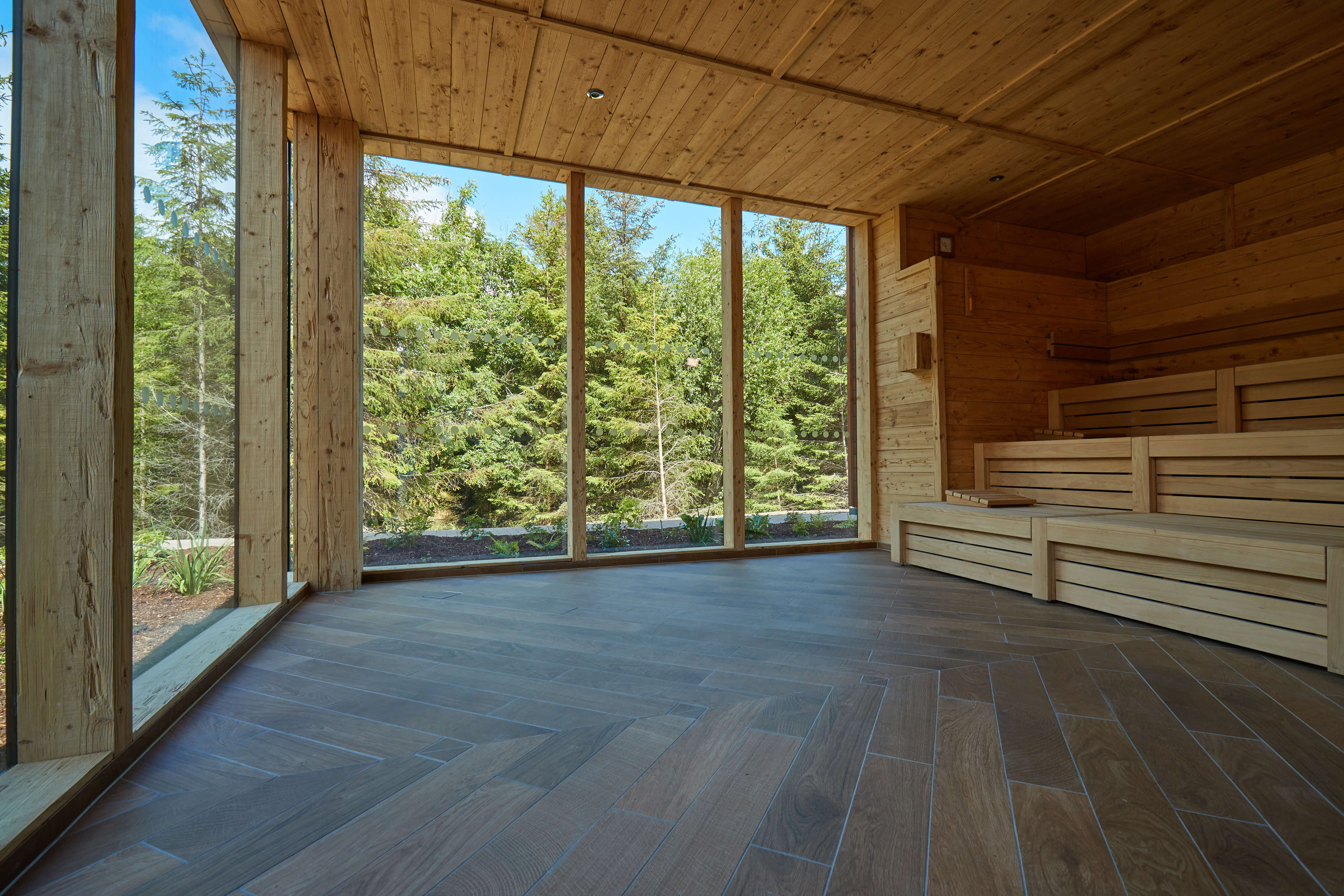 John O’Ceallaigh Sunday Telegraph